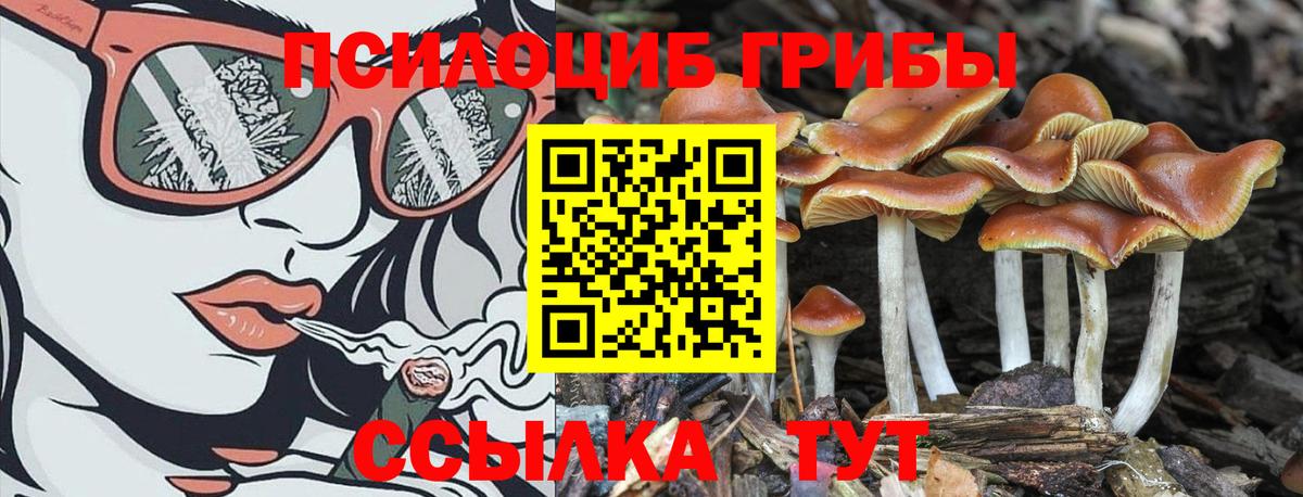 Сочи  Галлюциногенные грибы Psilocybe  Галлюциногенные грибы мицелий  Вход с VPN 