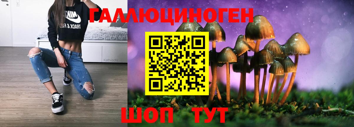 Галлюциногенные грибы GOLDEN TEACHER Сочи